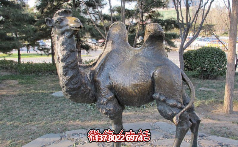 創(chuàng)意大型玻璃鋼駱駝雕塑，在草地上擺放，一眼回頭