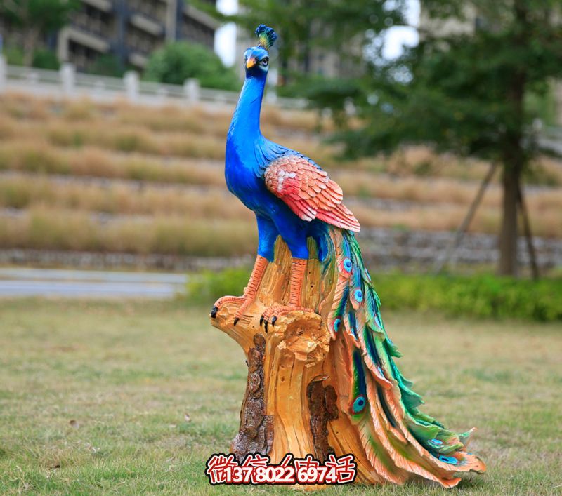 彩繪孔雀玻璃鋼雕塑，為公園街道擺放添彩
