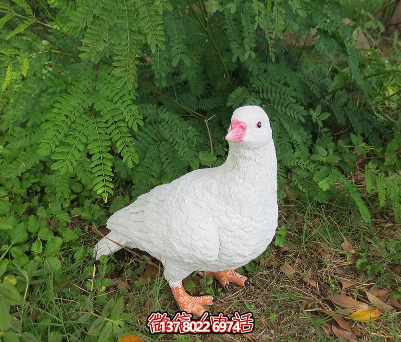 公園戶外樹(shù)脂擺件鴿子雕塑 公園戶外樹(shù)脂擺件鴿子雕塑